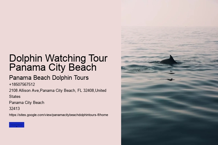 What Time Of Day Are Dolphins Most Active