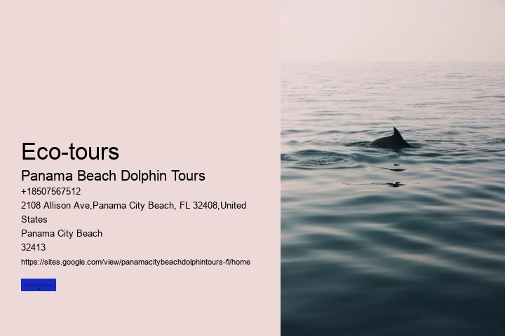 How Do You Spot Dolphins On The Beach