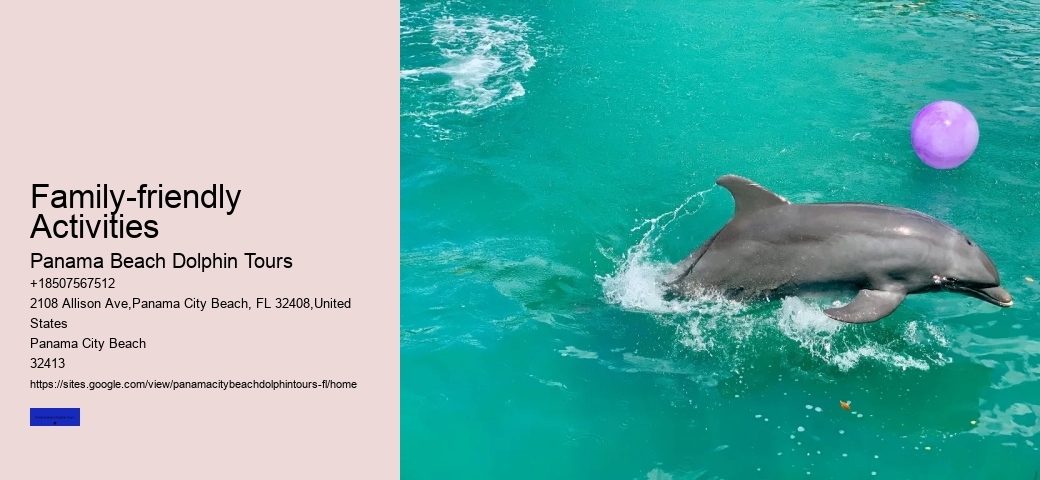 Dolphin Swim