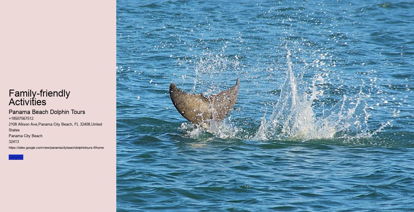 Why Not To Swim With Dolphins