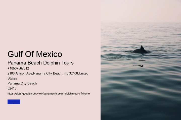 Boat Tours Panama City Beach FL