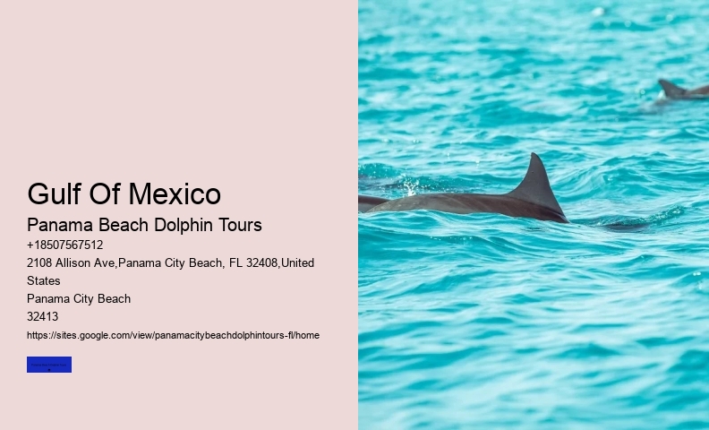 Shell Island Trips & Dolphin Tours