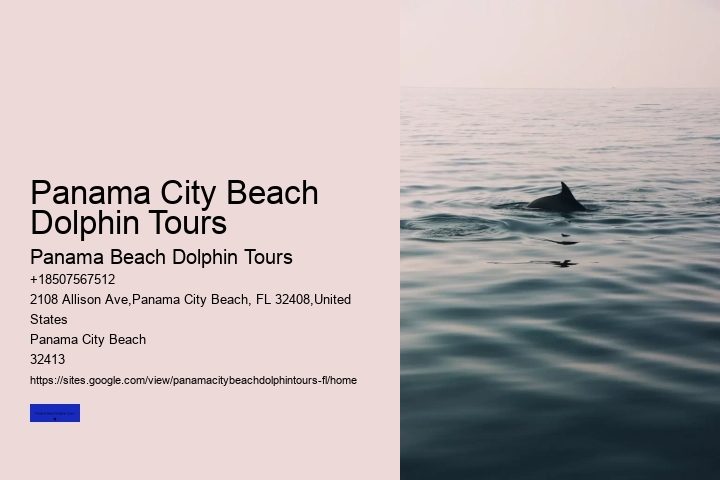 Panama City Beach Dolphin Tours & More Tours
