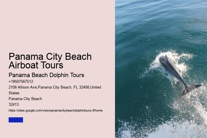 Why Do Dolphins Come Close To Shore In The Morning