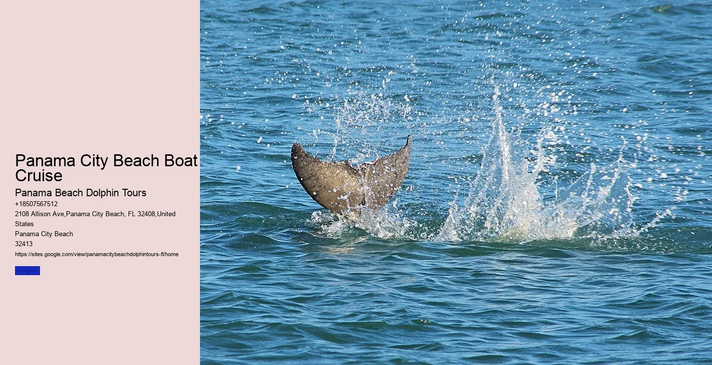 Dolphin Tours Near Me Panama City Beach