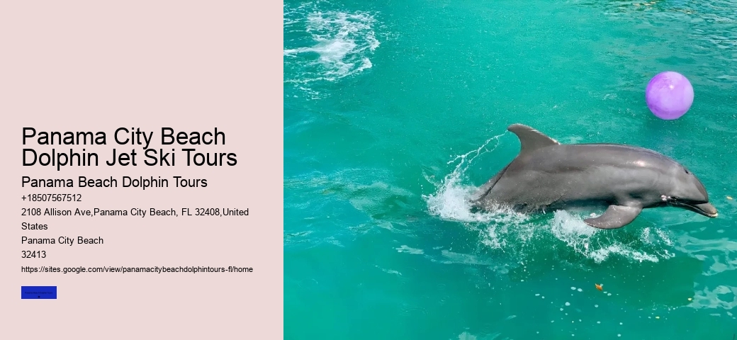 Are Dolphins Rare To See