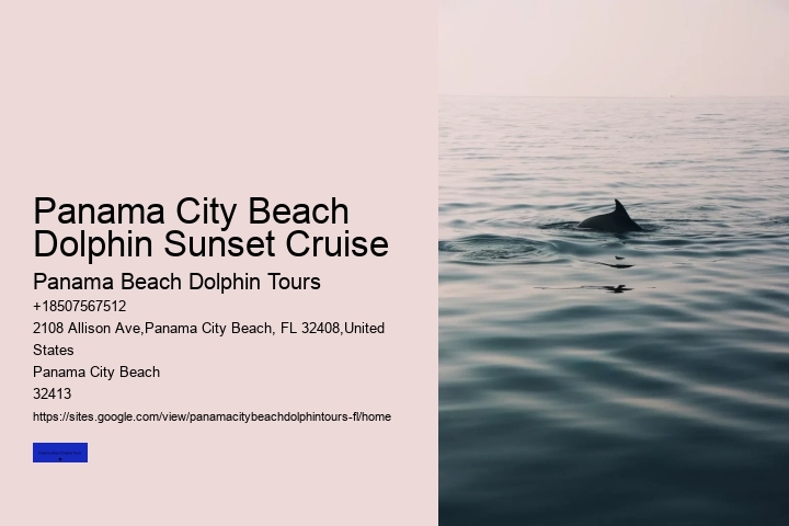 Sunset Dolphin Tours Panama City Beach