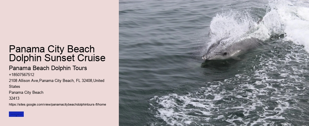 10 Reasons Not To Swim With Captive Dolphins