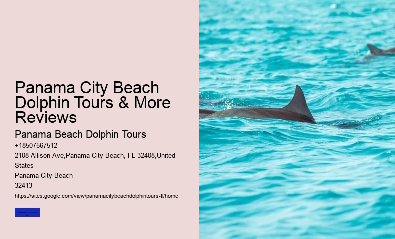 Panama City Beach Dolphin Swim