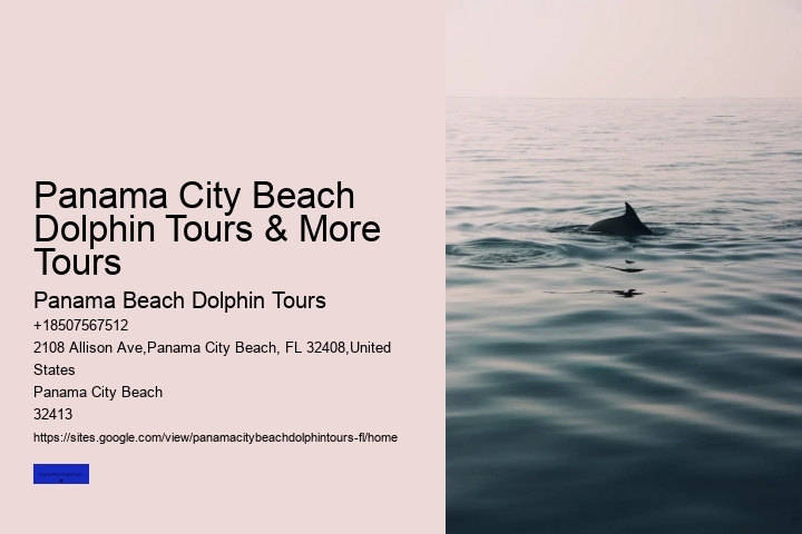 Cheap Pontoon Boat Rentals Panama City Beach