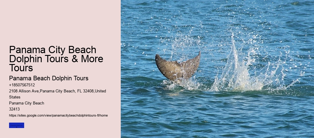 Marine Wildlife
