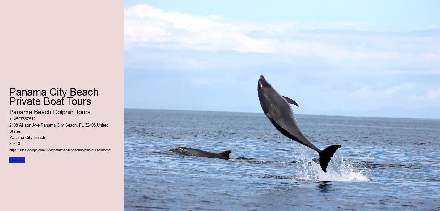 Panama City Beach Private Boat Tours