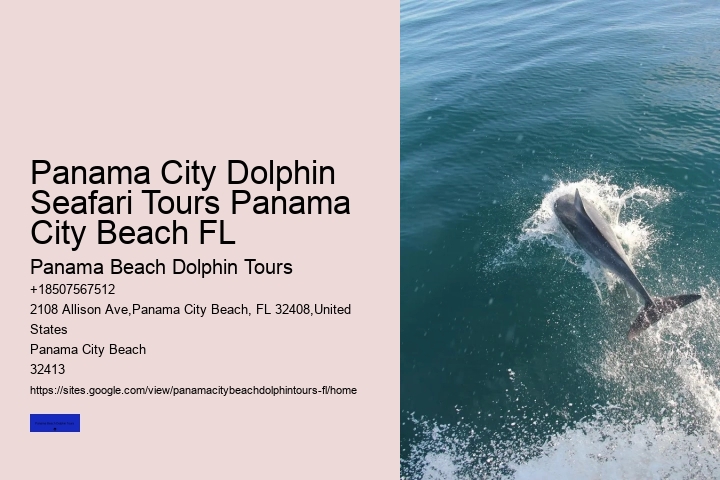 Is Swimming With Dolphins Ethical