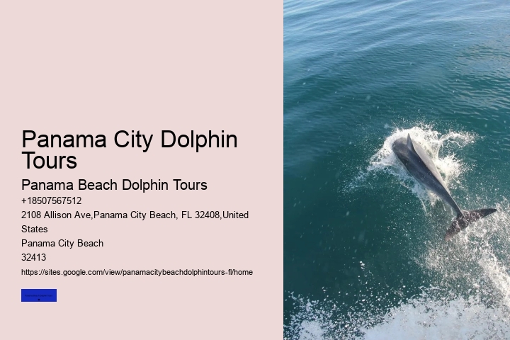 Waverunner Dolphin Tour Panama City Beach