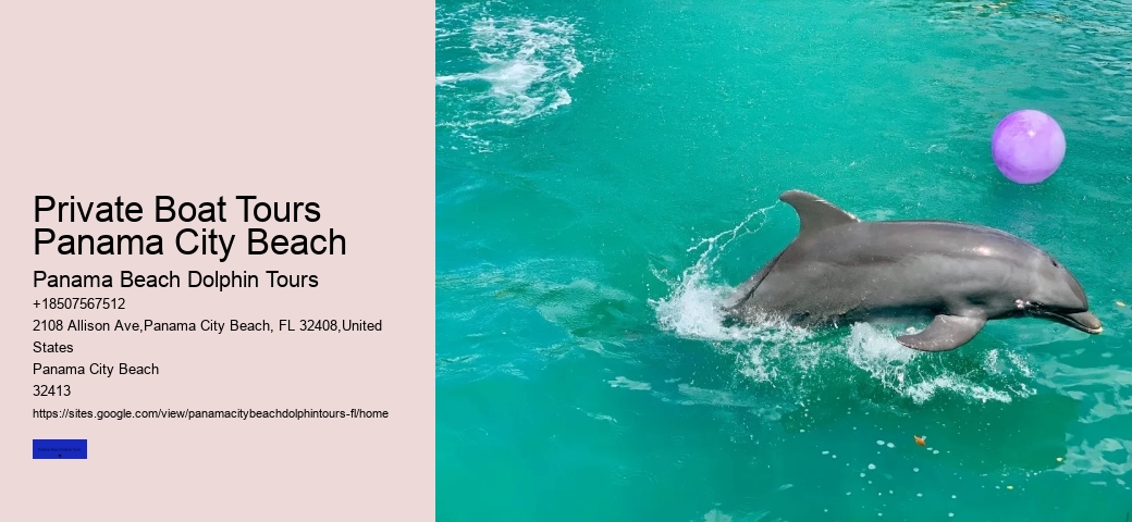 5 Reasons Not To Swim With Dolphins