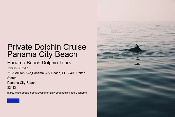 Private Dolphin Cruise Panama City Beach