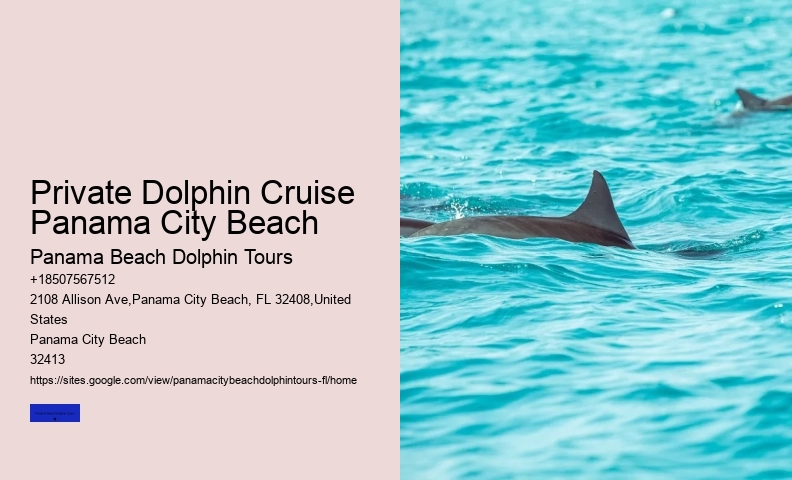 Sunset Dolphin Cruise Panama City Beach