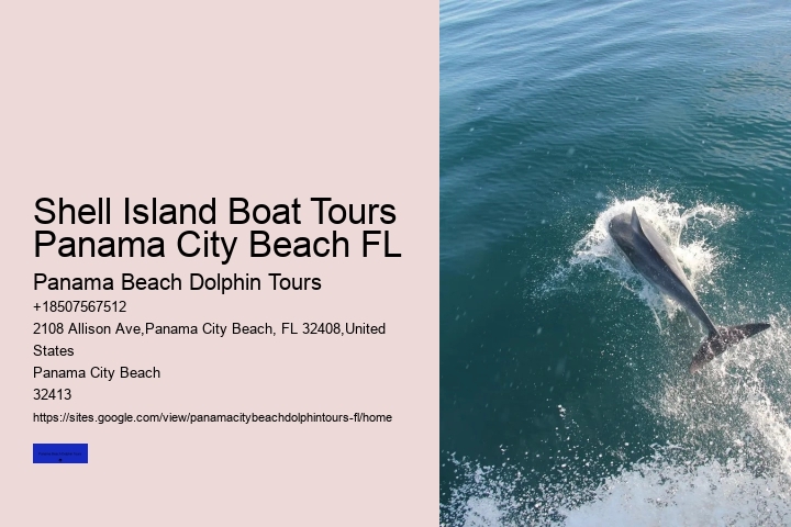 Dolphin Swim In Panama City Beach FL