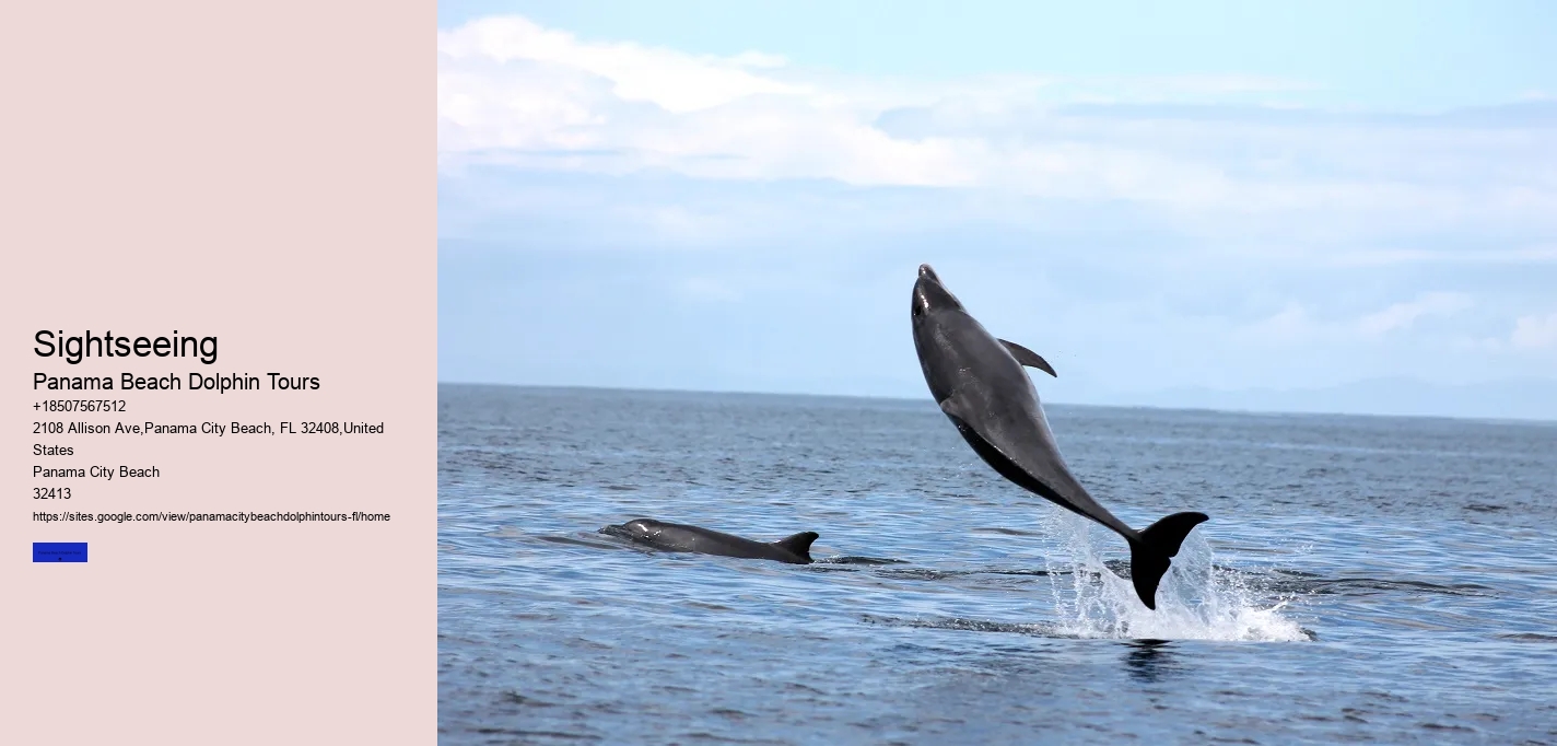 Do Dolphins Swim Close To Shore At Night