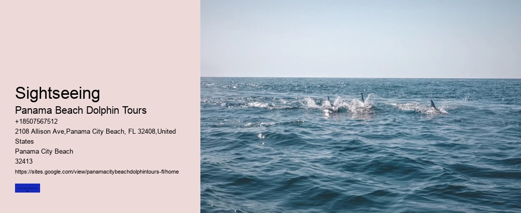 Dolphin Swim Ocean Secrets