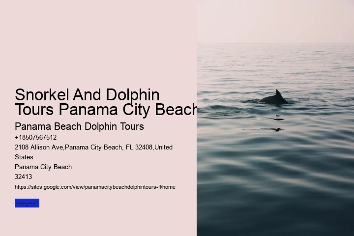 Dolphin Tours In Panama City Beach Florida