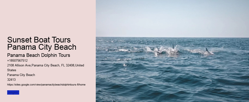 Dolphin Tales