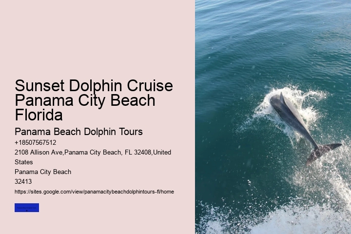 Jet Ski Dolphin Tours Panama City Beach Florida