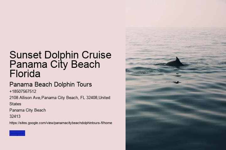 Dolphin Sightseeing