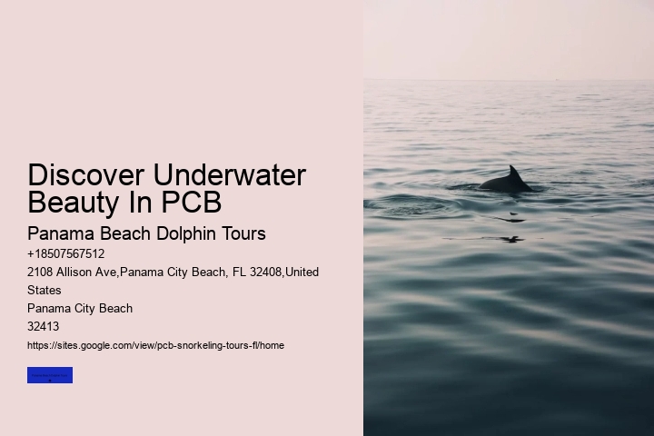 Discover Underwater Beauty In PCB
