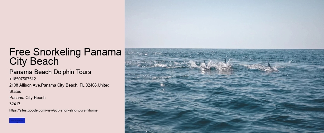 Free Snorkeling Panama City Beach