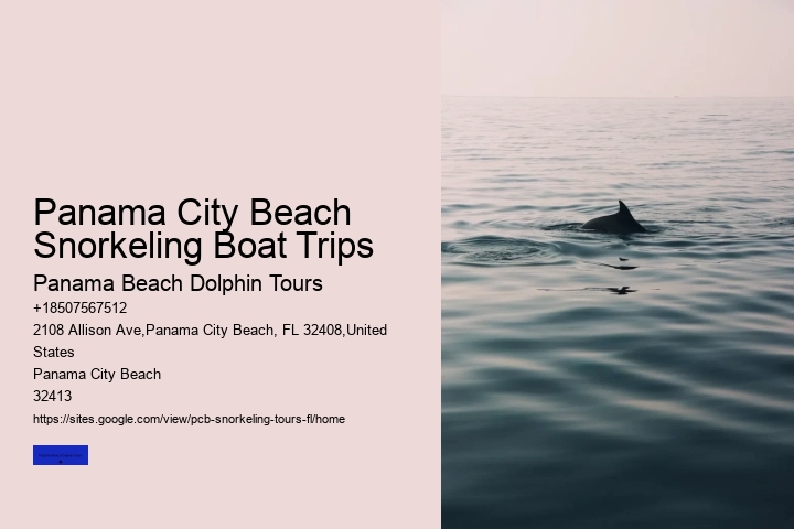 Panama City Beach Snorkeling Boat Trips