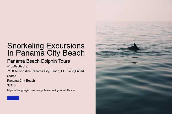 Snorkeling Excursions In Panama City Beach