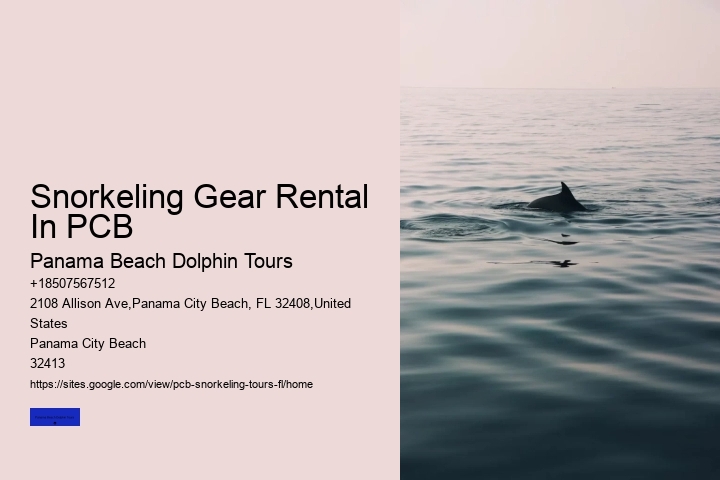 Snorkeling Gear Rental In PCB