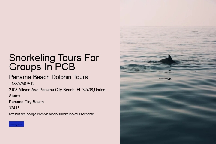 Snorkeling Tours For Groups In PCB