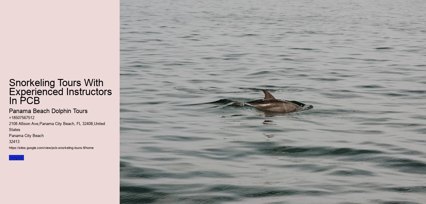 Snorkeling Tours With Experienced Instructors In PCB