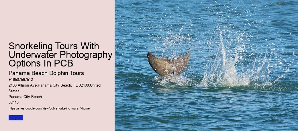Snorkeling Tours With Underwater Photography Options In PCB