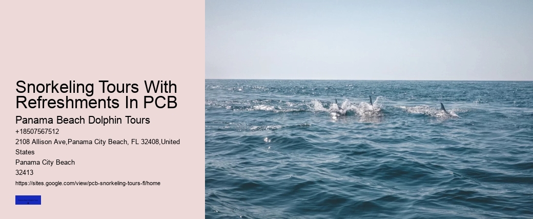 Snorkeling Tours With Refreshments In PCB