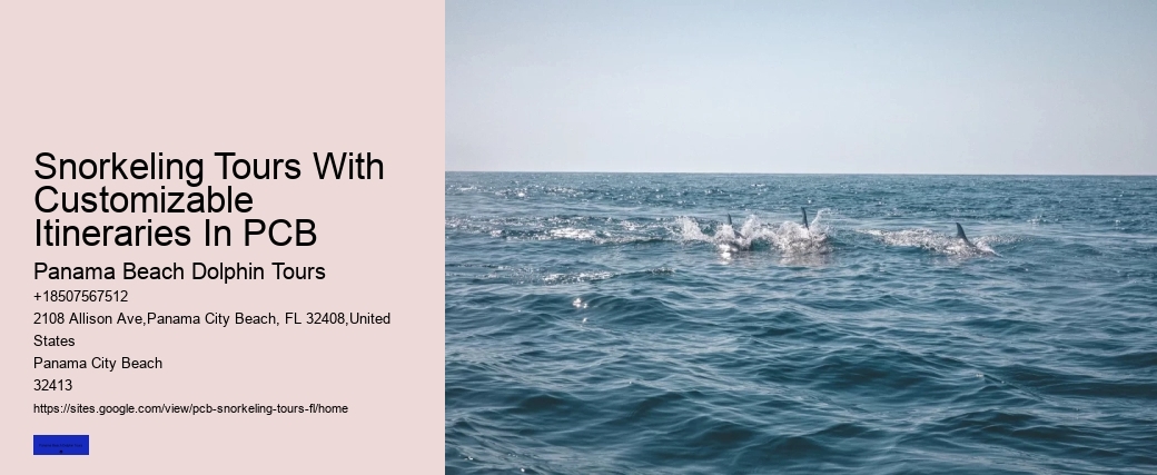 Snorkeling Tours With Customizable Itineraries In PCB